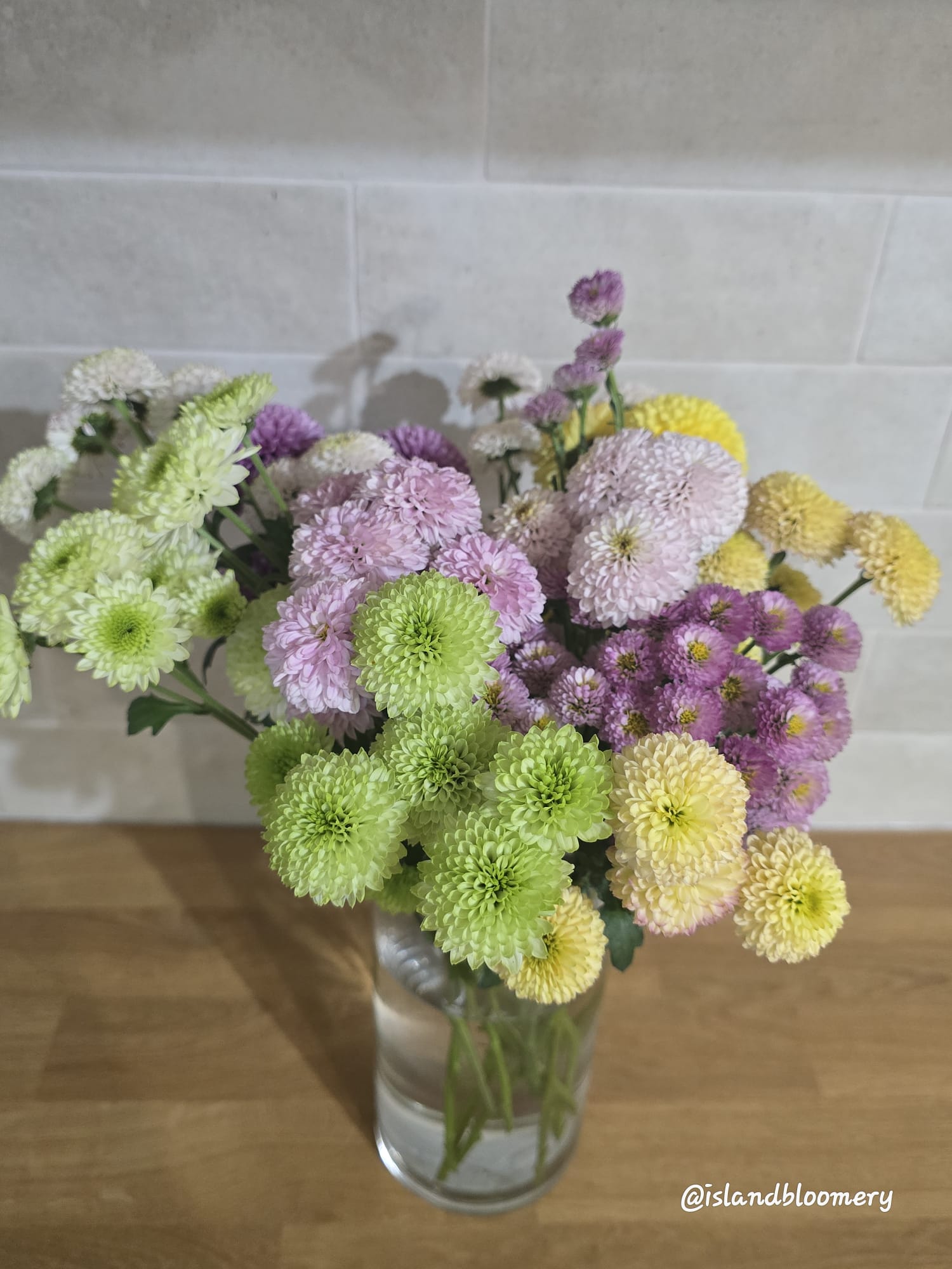 Chrysanthemums