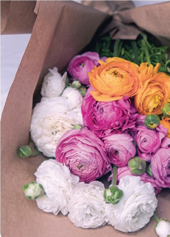 Ranunculus Elegance Pastello 180-16