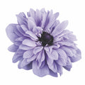 Anemone Levante Azzurro